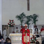 Foto Festa di s. Sebastiano 21-01-2011 (86)
